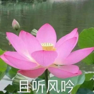 洛阳栾川钼业集团股份有限公司澄清公告